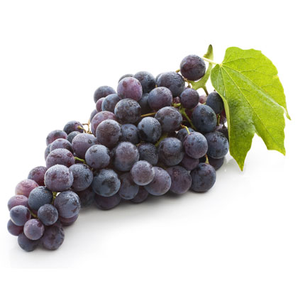 Concord Grape Juice Concentrate 68 Brix