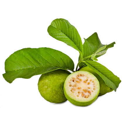 White Guava Puree 9-12 Brix