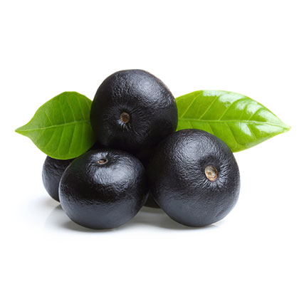 acai processed fruit products