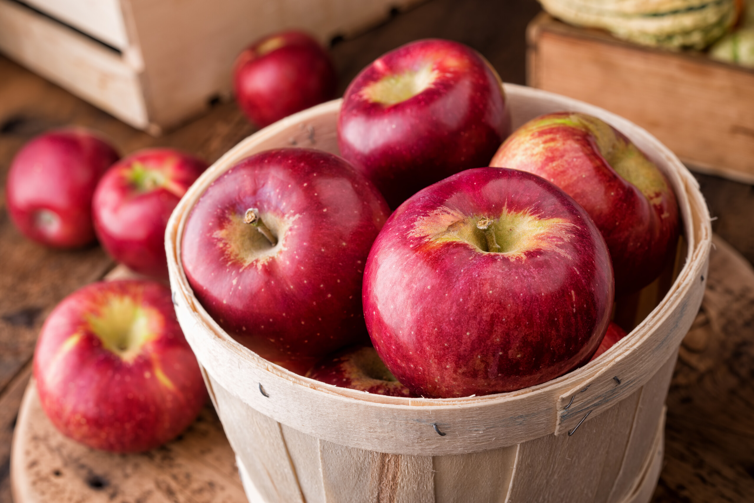 Apple NFC Juice, Apple Juice Concentrate, Apple Puree and other Apple formats, available from Dennick FruitSource.