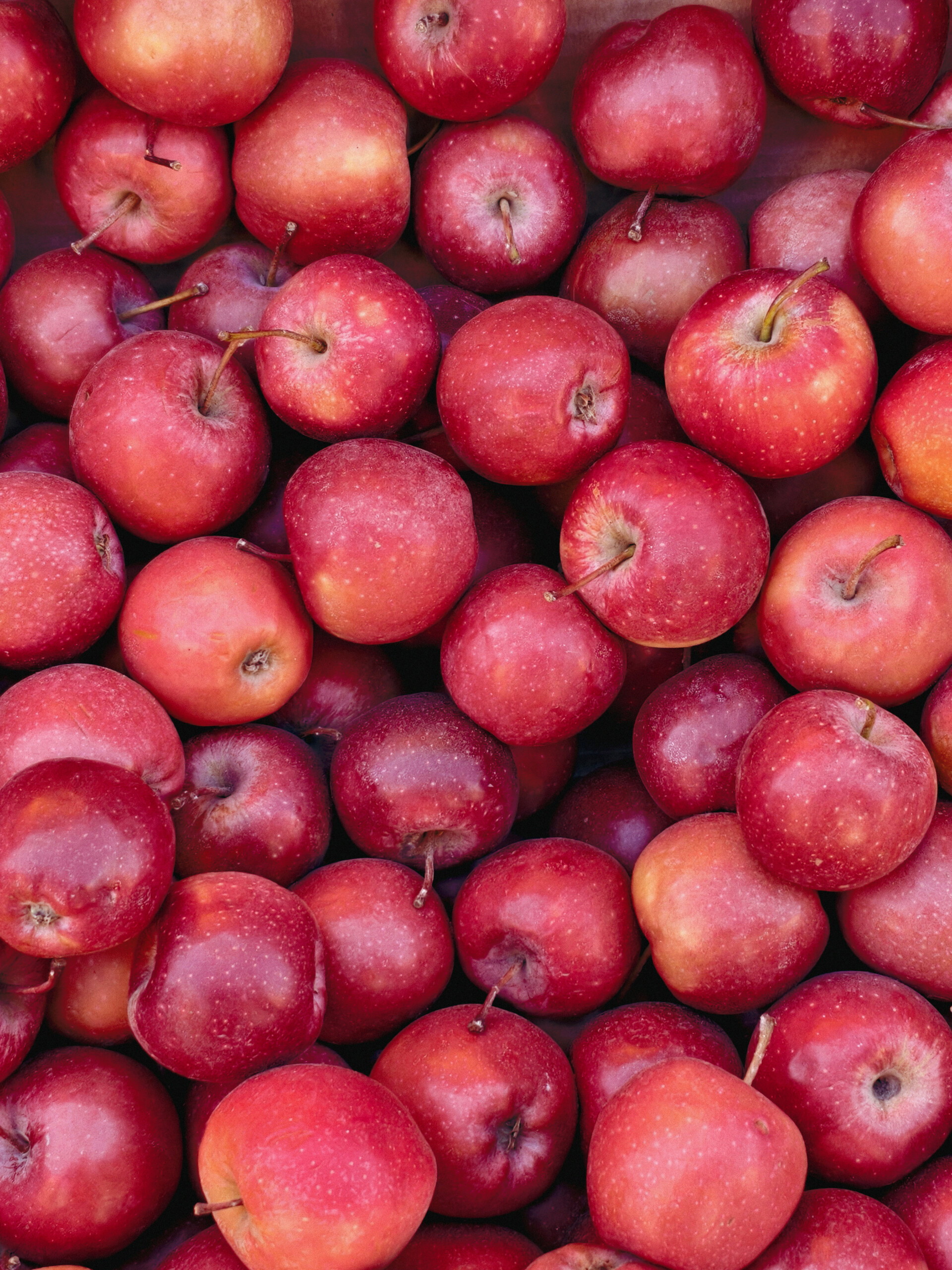 All of our Apple Ingredients can be sourced and supplied as USDA Organic upon request.