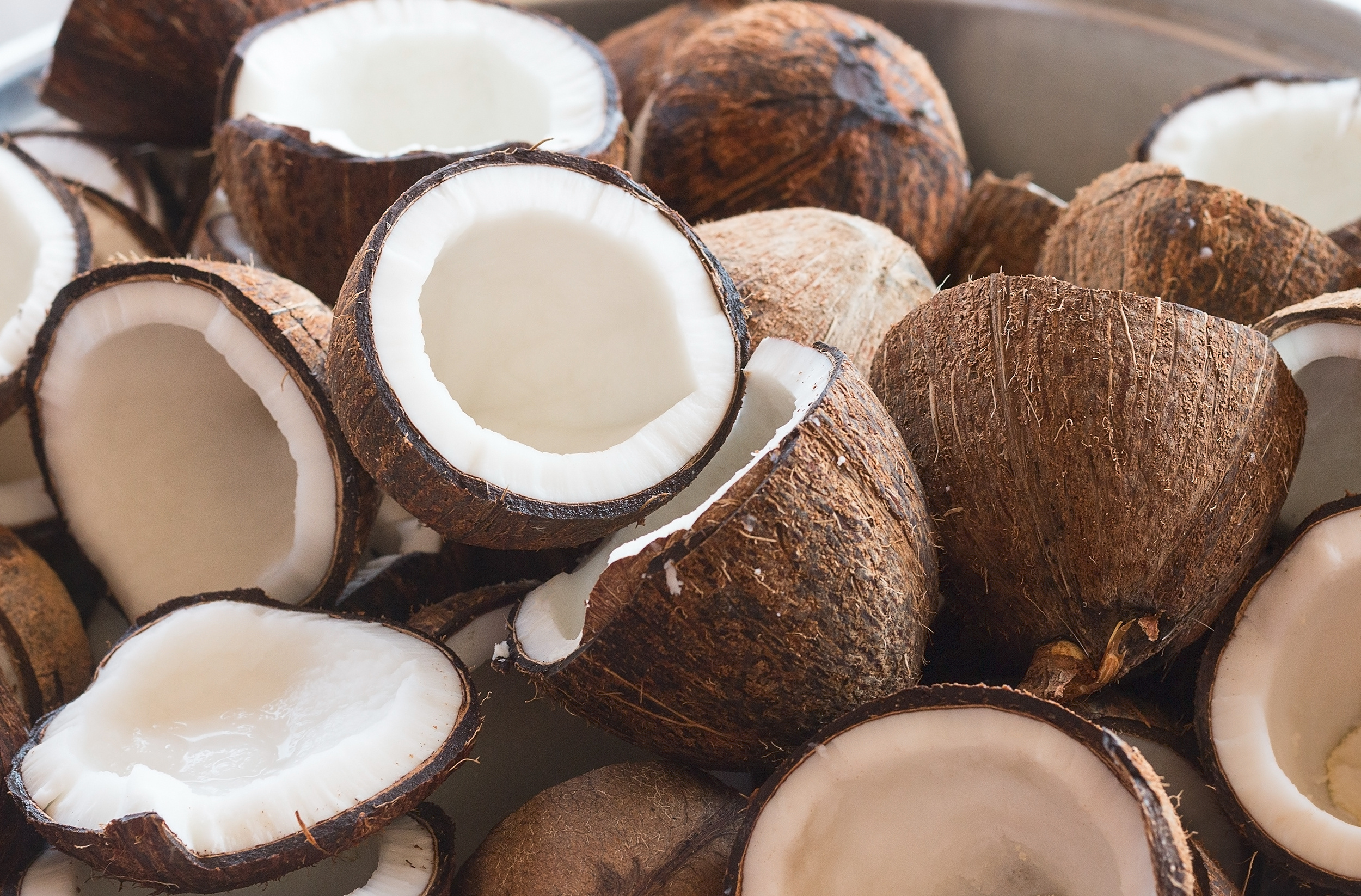 Coconut Ingredients including coconut milk, coconut water, coconut cream and other formats.