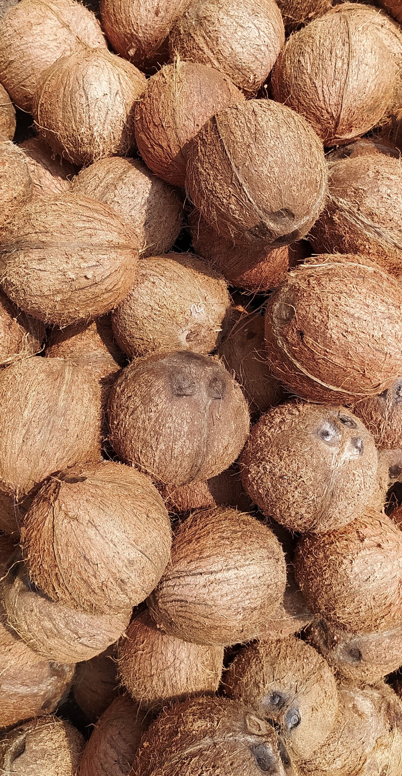 Our Coconut Ingredients can be provided as USDA Organic upon request.