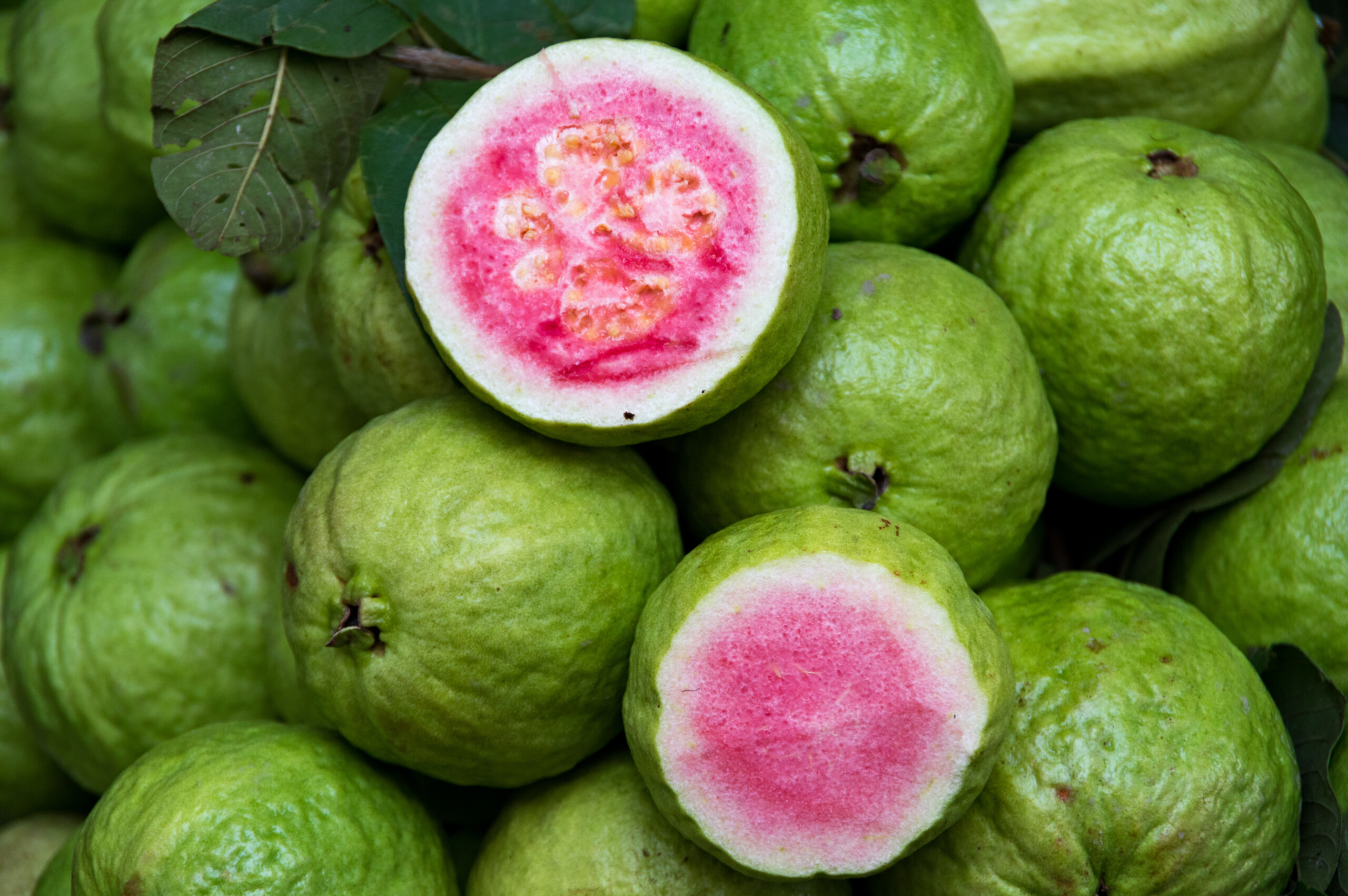 Dennick FruitSource is the premier US supplier of guava puree, guava puree concentrate and guava IQF.
