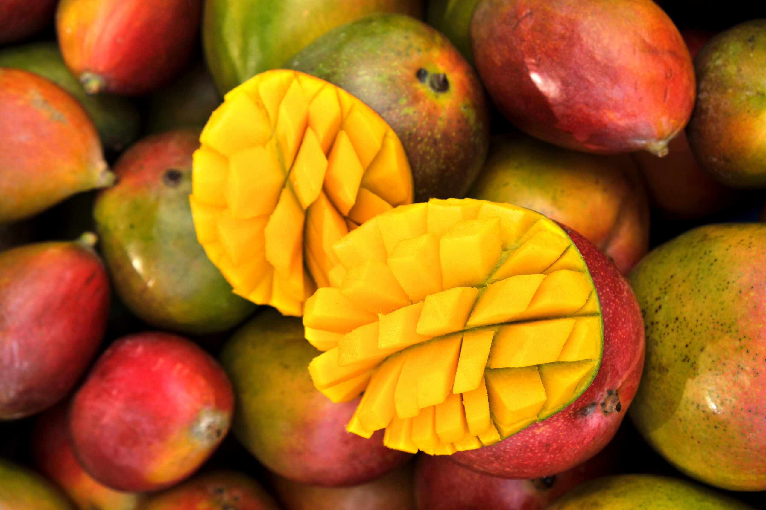 Mango ingredients for production including mango NFC juice, mango juice concentrate, mango IQF and mango oil.