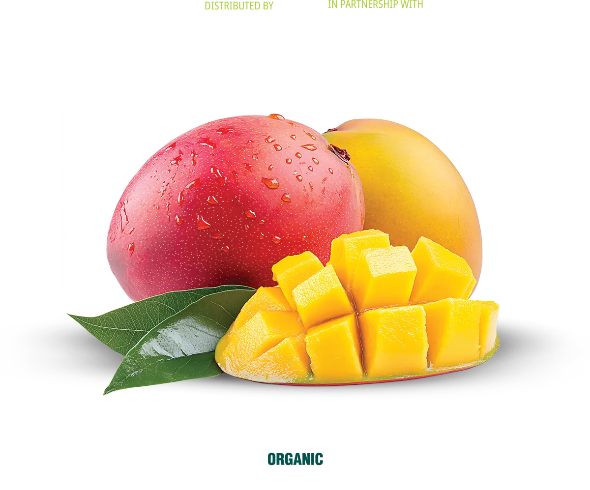 Dennick FruitSource is an exclusive provider of the Magdalena River Mango