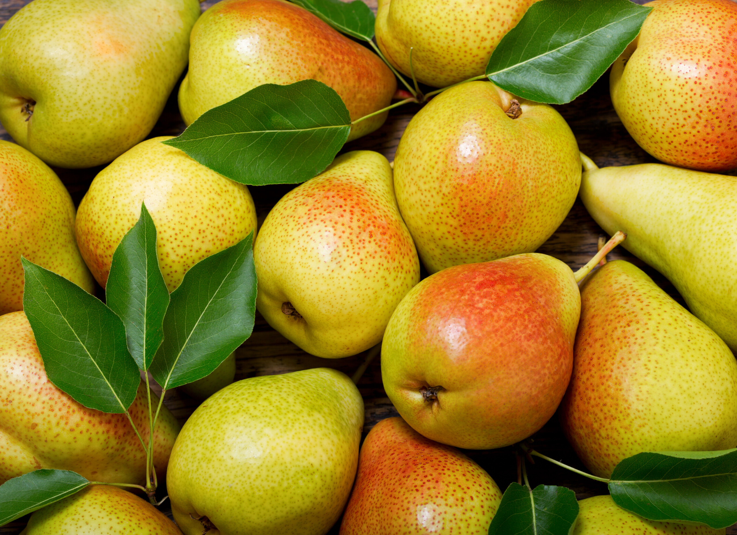 Your premium supplier for pear NFC juice, pear juice concentrate, pear puree, pear puree concentrate and pear IQF.